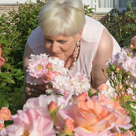 B&B Rozerie Anzegem Екстер'єр фото